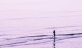 Lone Girl on a beach