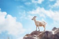 lone goat on a cliff with vast sky backdrop Royalty Free Stock Photo