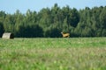 A lone goat roe deer runs across the field to a roll of hay.