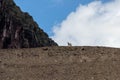 Lone goat standing on a mountain ridge, the brilliant blue sky providing a breathtaking backdrop Royalty Free Stock Photo