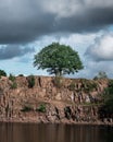 A lone green tree on top of a stone cliff of a water filled quarry