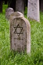 Lone headstone on a jewish cemetary Royalty Free Stock Photo