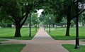 Lone Hiker on a Brick Sidewalk Royalty Free Stock Photo