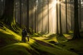 A lone hiker resting on a moss-covered boulder in a dense, ancient forest. Shafts of sunlight pierce through the canopy Royalty Free Stock Photo