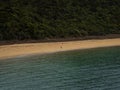 Lone hiker tramping along tropical pacific ocean beach surrounded by green nature, Abel Tasman National Park New Zealand Royalty Free Stock Photo