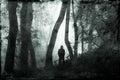 A lone hooded scary figure standing in a forest, silhouetted against the light. On a foggy, winters day. With a grunge, black and Royalty Free Stock Photo