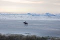 Lone Horse Rider on Beach