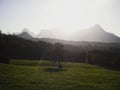 Lone isolated tree on green grass field meadow in front of mountain range Totes Gebirge in Upper Austria alps Europe Royalty Free Stock Photo