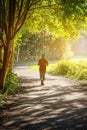 Jogger on a sunny autumn morning. Royalty Free Stock Photo