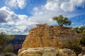 Lone Juniper Pine Tree Atop Rock Formation At Grand Canyon Royalty Free Stock Photo