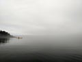 A lone kayaker swims in the fog on lake Ladoga in Karelia.Wildlife.Russia.