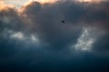 A Lone Kite Flying among Dark Clouds in Stormy Sky Royalty Free Stock Photo