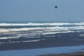 A lone kite surfer amongst the surf