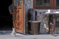 Kitten at the restaurant door