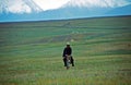 A lone Kyrgyz rides the donkey in the Alay valley Royalty Free Stock Photo