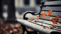 A lone leaf on a bench in the fall with leaves around it, AI Royalty Free Stock Photo