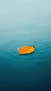 Lone leaf floating on still water Royalty Free Stock Photo