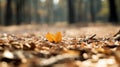 A lone leaf on the ground in a forest with trees, AI Royalty Free Stock Photo