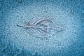 Lone leaf in winter frost Royalty Free Stock Photo