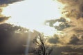 Dramatic sunbeams pierce through stormy clouds illuminating a bare tree silhouette Royalty Free Stock Photo