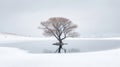 Lone lonely tree in winter snow and lake solitude, minimalist. Generative AI weber.