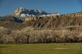 Lone Long Horn Cown Grazing Below Snowy Mountains In Southern Utah