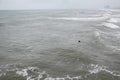 A lone male surfer wearing a wet suit is seen alone in a rough ocean on an overcast day