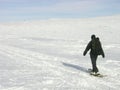 Lone man with a backpack snowshoeing