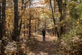 Lone man hiking the trails near Milford, PA, surrounded by lush foliage and pine trees