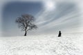 Lone man and lonely tree Royalty Free Stock Photo