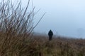 A lone man standing in the distance, out of focus. On a moody, foggy, winters day in the countryside