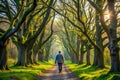 Lone Man Walking Down a Sun- Dappled Tree- Lined Path in Spring road trees Royalty Free Stock Photo