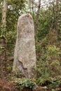 A lone menhir in a forest near Erdeven in Brittany