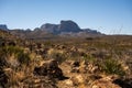 Lone Mountain Trail Cuts Through Desert Floor in Big Bend