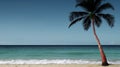 A lone palm tree on a beach next to the ocean. Generative AI image. Royalty Free Stock Photo