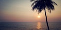 Lone palm tree on the sunset - retro filter. Sunset in Varkala, Kerala, India. Royalty Free Stock Photo