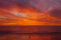 Lone person on beach faces a glorious sunset