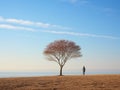 a lone person standing in front of a tree