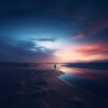 a lone person standing in the sand at sunset