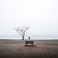 a lone person stands in front of a tree on a foggy beach