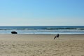 Uncrowded, Picturesque Oregon Coast Beach Royalty Free Stock Photo