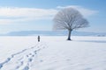 a lone person walking in a snow covered field