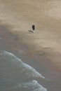 A lone person walks along the Lake Michigan shoreline in Chicago, Illinois Royalty Free Stock Photo