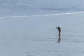 Lone Photographer on deserted beach in North Cornwall Royalty Free Stock Photo