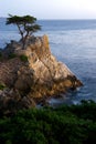 Lone Pine Rock at Pebble Beach Royalty Free Stock Photo