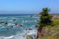 Lone pine tree on a cliff in the Pacific Ocean, Big Sur California USA Royalty Free Stock Photo