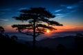 a lone pine tree in the mountains at sunset Royalty Free Stock Photo