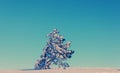 Lone pine tree Royalty Free Stock Photo
