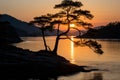 a lone pine tree stands on a rocky outcropping at the edge of a lake at sunset Royalty Free Stock Photo