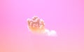 lone pink sundown huge cumulus , conceptual nature 3D illustration